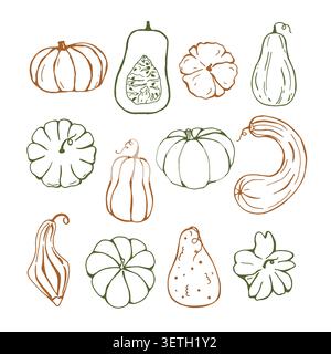 A set of pumpkins, vector hand drawn collection  Stock Vector