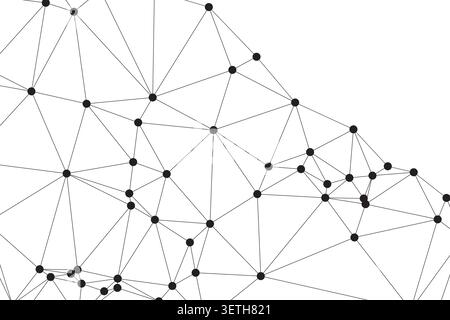 Sophisticated geometric web pattern in black and white. Detailed connectivity map for data science and technological evolution. Sharp vector lines con Stock Vector