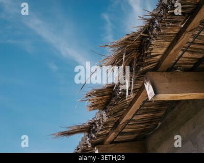 Dried grasses form a rustic thatched roof. Wooden beams hold the structure securely. Clear blue sky displays wispy clouds. Ideal for traditional archi Stock Photo