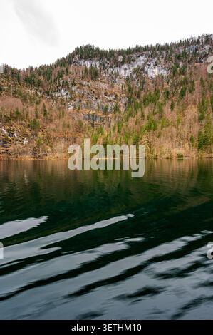 Vertical landscape photograph of a forested mountain slope rising above the dark green water of Lake Konigssee in Berchtesgaden, Bavaria, Germany. The Stock Photo