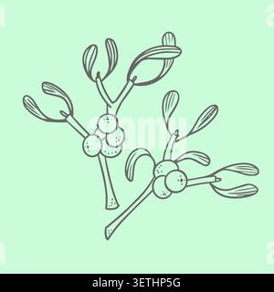 Christmas mistletoe branches with berries winter holiday plant line art vector illustration. Traditional festive botanical design element for greeting Stock Vector