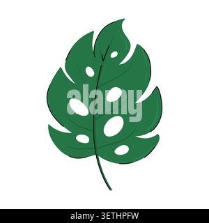 Doodle green monstera leaf vector illustration. Tropical plant icon isolated on white background. Stock Vector