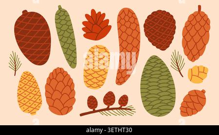 Autumn conifer cone vector illustration set with pine branches. Forest pinecones and spruce cones in flat style for winter, christmas, thanksgiving Stock Vector