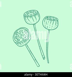 Dried lotus seed pods on stems exotic botanical line art vector illustration. Organic oriental design element for greeting card poster invitation spa Stock Vector