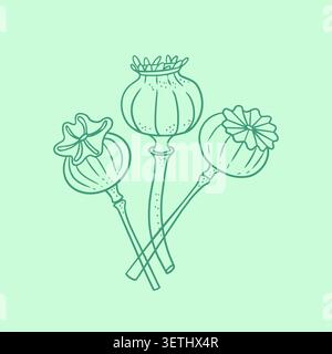 Dry poppy seed pods on stems organic winter botanical line art vector illustration. Traditional oriental plant design element for greeting card poster Stock Vector