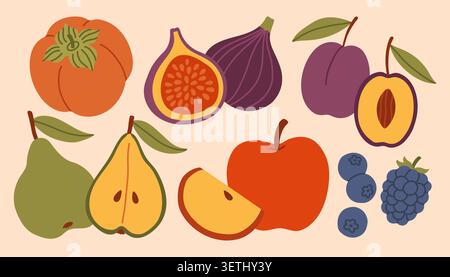 Autumn harvest fruit vector set featuring apple, pear, fig, plum, persimmon, and berries. Fresh seasonal organic food flat illustration for healthy Stock Vector