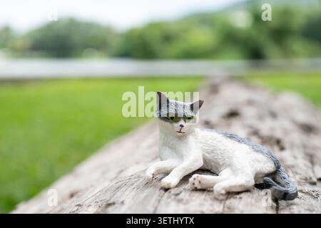 Chiang Mai, Thailand - 19 June 2026 : Gray and white cat figurine lying on old weathered log with green field and reservoir background Stock Photo