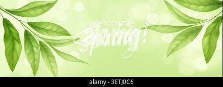 Fresh green tea leaves floating in air with botanical foliage elements, isolated on white background for organic herbal product design and spring Stock Vector