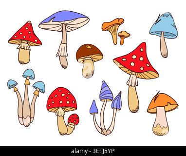 Autumn forest mushrooms vector colorful set. Stock Vector