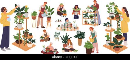 Happy people tend to their houseplants. Cartoon style men gardening in greenhouse. Women watering, pruning, and repotting their flowers. Ficus into Stock Vector