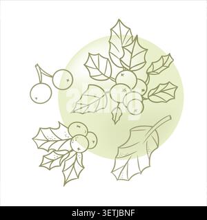 Christmas holly berries vector set with abstract gradient mesh watercolor splash line art illustration. Winter holiday design elements collection for Stock Vector