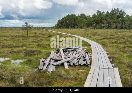 Boardwalk restoration in Dunika Bog, Latvia, showing new footbridge sections and old timber removed during wetland trail maintenance Stock Photo