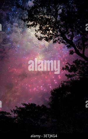 Dense pink and white glitter fireworks cloud glowing in the night sky above dark tropical tree silhouettes. Stock Photo