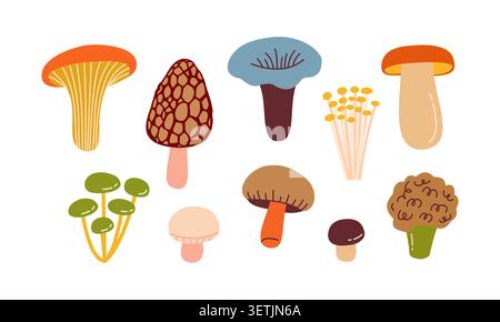 Autumn mushroom vector illustration set cute forest wild mushrooms doodle graphic elements for kitchen recipe book logo menu design Stock Vector