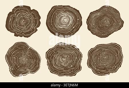 Tree trunk ring texture set. Luxury wood grain backgrounds. Hand drawn tree ring pattern abstract art. Concentric circle patterns organic stump tree trunk in section. Templates woodcut stamps design Stock Vector