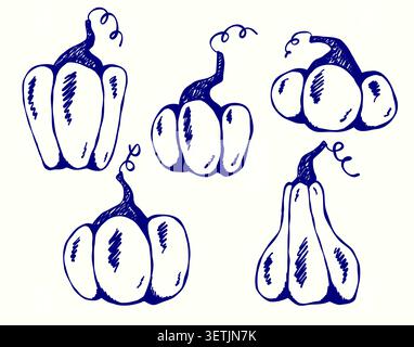 Sketchy pumpkin line art vector set Stock Vector