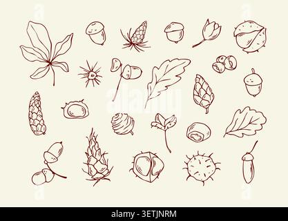 Hand drawn autumn nature elements and forest seeds doodle set Stock Vector