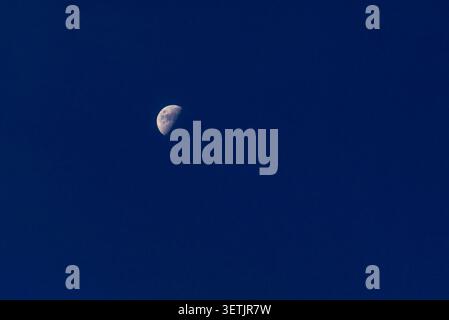 Night sky with a detailed half moon. Half moon visible in a clear deep blue evening sky with copy space. Crescent moon phase against a dark blue sky b Stock Photo
