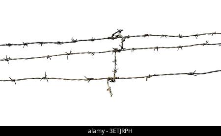 Long barbed wire isolated on white, clipping path Stock Photo