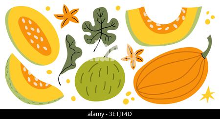 Autumn Melon Harvest Illustration with Orange and Green Fruits and Leaves Vector Set Stock Vector
