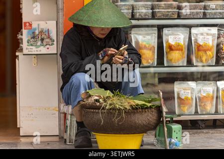 Hanoi, Ha Noi, Vietnam - 11 November 2025: View of a woman in a conical hat using a smartphone while sitting on a stool beside a basket of herbs in fr Stock Photo