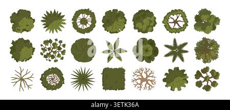 Architectural tree. Green trees top view. Silhouette various plants for landscape design and plans. Garden trees, bushes, shrubs for architectural ent Stock Vector