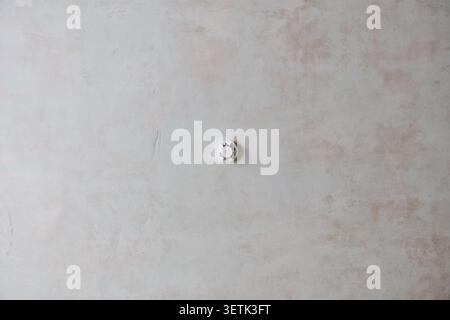 A white smoke detector is centrally mounted on a textured, light colored ceiling, highlighting essential fire safety and home security features in a r Stock Photo