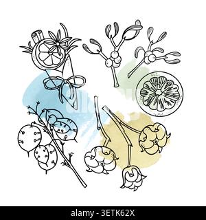 Christmas winter botanical doodle collection with colorful watercolor splashes on white background. Festive hand drawn elements including cotton Stock Vector