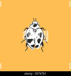 Hand drawn abstract vector graphic illustration collection set with cute, stylized insect bugs sketch.Trendy modern wild nature design concept sketch Stock Vector