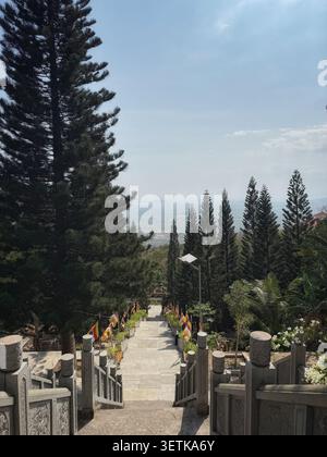 Scenic view from a mountain temple staircase looking down at a valley. A grand stone stairway lined with flags and tall pine trees stretches downward, Stock Photo