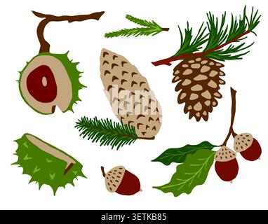 Autumn forest cones acorns and chestnuts vector set Stock Vector