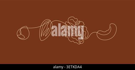 Nuts illustration hazelnut, almond, walnut, cashew drawing in linear art style on brown background Stock Vector