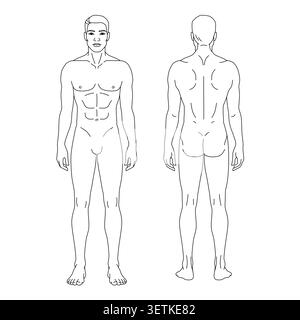 Minimalist male body anatomy template showing front and back views of the human figure. Clean outline vector illustration suitable for medical educati Stock Vector