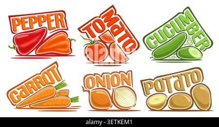 Vector Vegetable Set, collection of 6 isolated compositions of rustic vegetables with colorful text for package, group of cartoon whole and parts vari Stock Vector