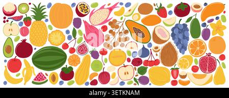 Big set of fruits Stock Vector