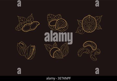 Nuts collection pistachio, almond, hazelnut, walnut, cashew illustrations with leaves drawing in linear art deco style on dark background Stock Vector
