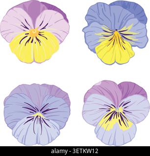 set of vector colors, viola, pansies Stock Vector