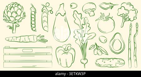 Hand-drawn summer vegetables and wooden box set, radish, tomato, carrot, artichoke for grocery shop, farmer market Stock Vector