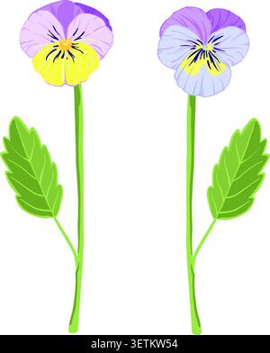 lilac vector viola flowers, sprout, leaf, pansies, violets Stock Vector