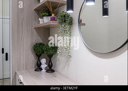 Cozy decor featuring plants, a mirror, and decorative items on a wooden surface. Modern and stylish interior design elements Stock Photo