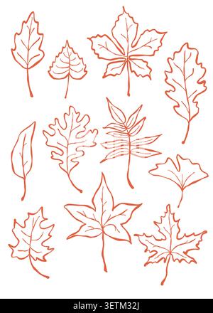 Autumn leaves outline vector set Stock Vector