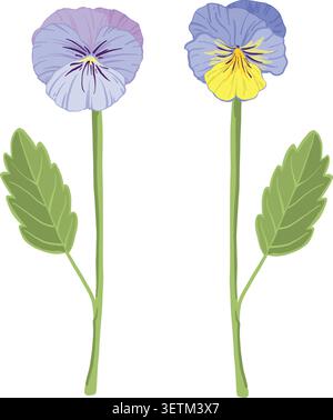 blue vector viola flowers, sprout, leaf, pansies, violets Stock Vector