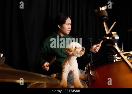 In a lively recording studio, a young Asian man plays drums while his dog sits beside him. Stock Photo
