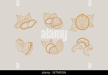 Nuts collection pistachio, almond, hazelnut, walnut, cashew illustrations with leaves drawing in linear art deco style on beige background Stock Vector