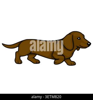 Cute vector illustration of a brown dachshund dog walking, isolated on white background Stock Vector
