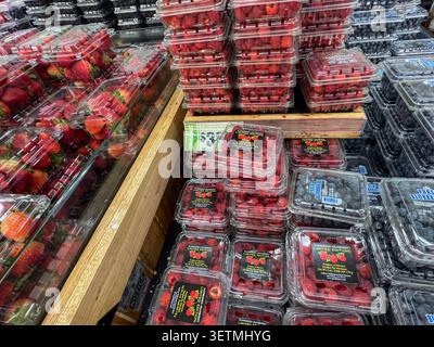Various berries packaged in clear plastic punnets on the shelves within a supermarket. Texas, USA. Stock Photo