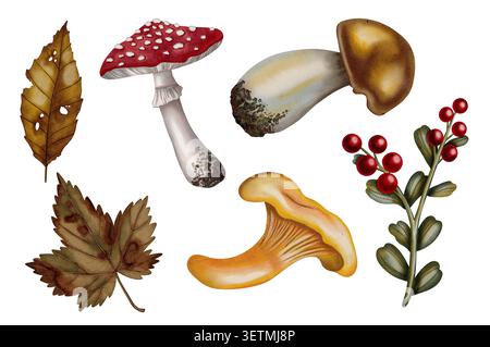 Watercolor illustration set with pumpkins, berries, autumn leaves, pine cones, pine branches, and mushrooms. Autumn. Children's illustration. Perfect Stock Photo