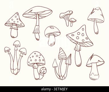 Forest mushrooms outline vector set for coloring book. Stock Vector