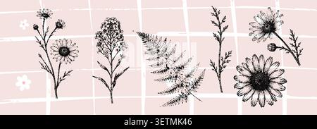 Vintage botanical composition featuring engraved wild flowers fern and meadow plants on a soft pastel background. Stock Vector