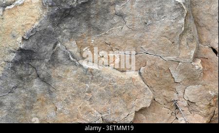 Horizontal close up of a multicolored boulder rock surface with tan reddish brown black and white tones Stock Photo